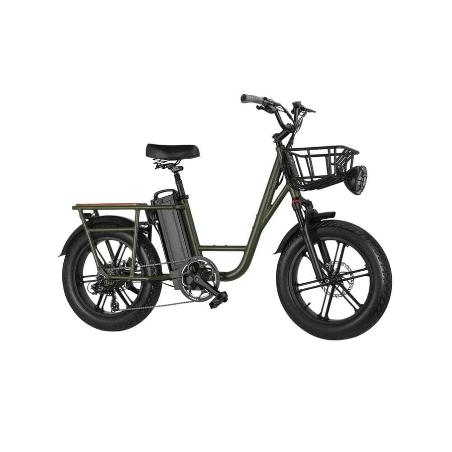 FIIDO T1 Electric Cargo Bike